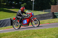Vintage-motorcycle-club;eventdigitalimages;mallory-park;mallory-park-trackday-photographs;no-limits-trackdays;peter-wileman-photography;trackday-digital-images;trackday-photos;vmcc-festival-1000-bikes-photographs